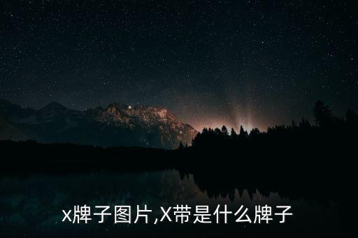 皮带x牌子图片,X带是什么牌子?