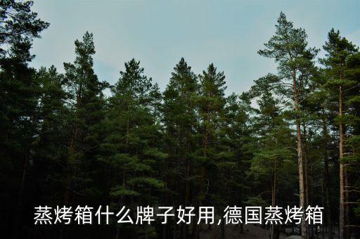 蒸烤箱什么牌子好用,德国蒸烤箱