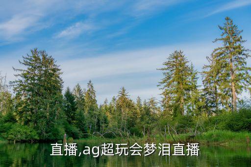 直播,ag超玩会梦泪直播