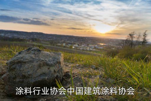 涂料行业协会中国建筑涂料协会