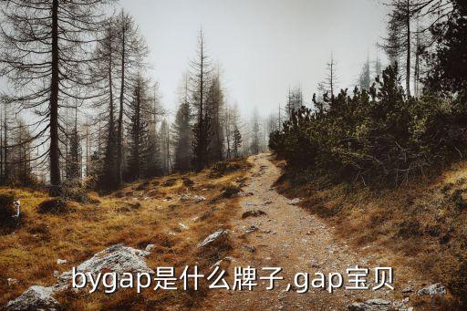 babygap是什么牌子,gap宝贝