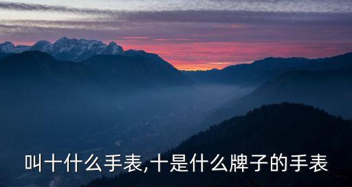 叫十什么手表,十是什么牌子的手表