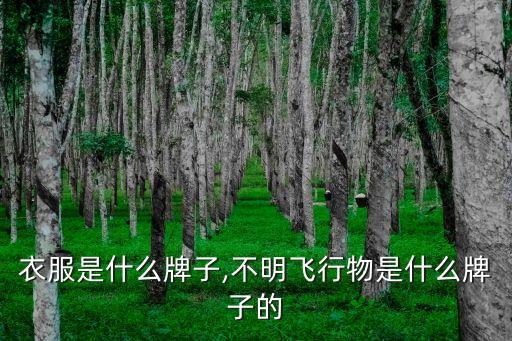 衣服是什么牌子,不明飞行物是什么牌子的