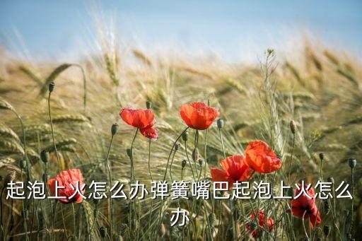 起泡上火怎么办弹簧嘴巴起泡上火怎么办