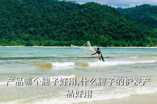 护发产品哪个牌子好用,什么牌子的护发产品好用?