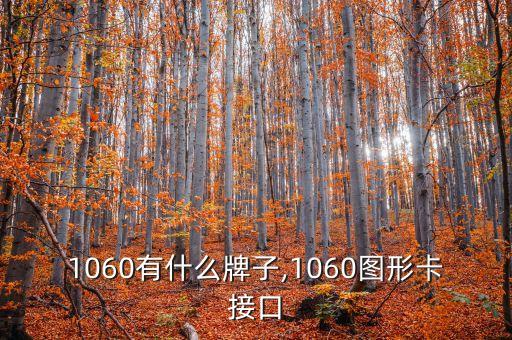 1060有什么牌子,1060图形卡接口