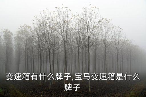 汽车变速箱有什么牌子,宝马变速箱是什么牌子?