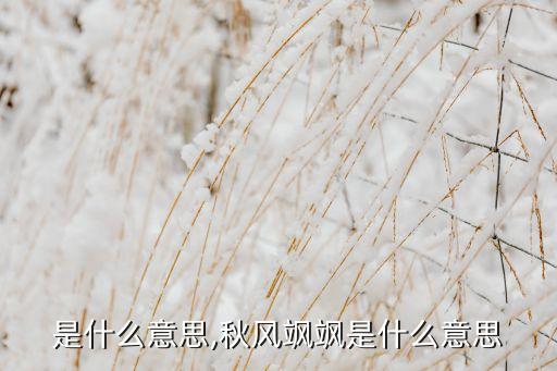 飒飒是什么意思,秋风飒飒是什么意思