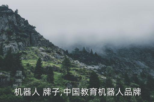 教育 机器人 牌子,中国教育机器人品牌