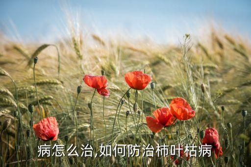 叶枯病怎么治,如何防治柿叶枯病?