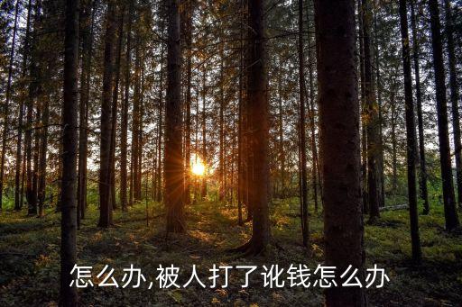 怎么办,被人打了讹钱怎么办