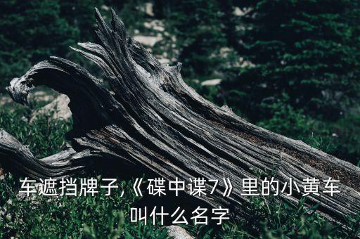 小黄车遮挡牌子,《碟中谍7》里的小黄车叫什么名字?
