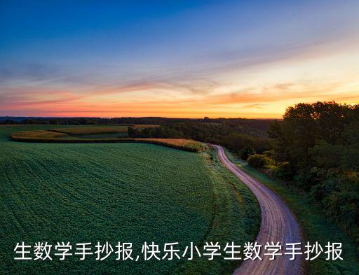 生数学手抄报,快乐小学生数学手抄报