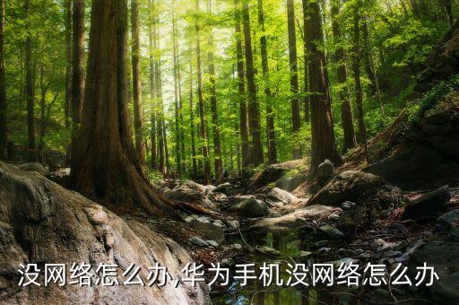 手机没网络怎么办,华为手机没网络怎么办