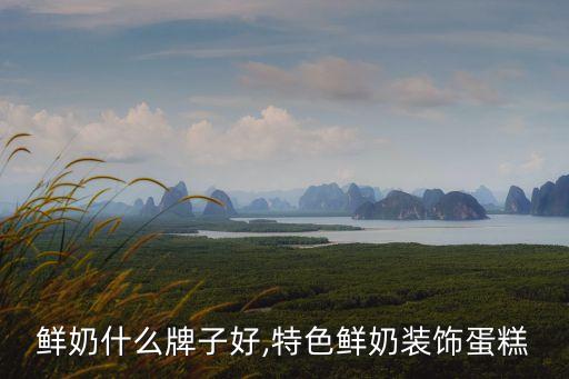 鲜奶什么牌子好,特色鲜奶装饰蛋糕