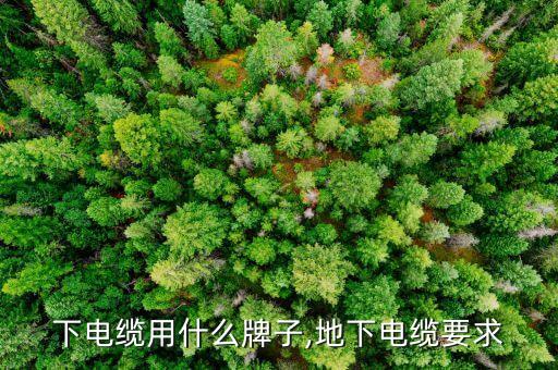 水井下电缆用什么牌子,地下电缆要求