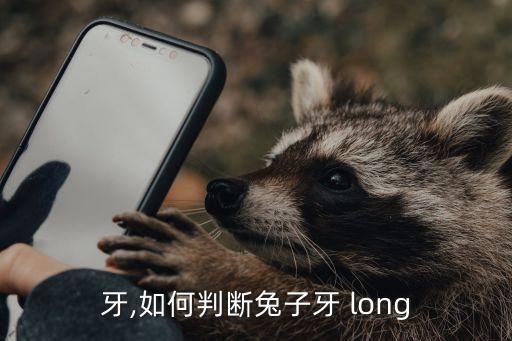 兔子牙,如何判断兔子牙 long?