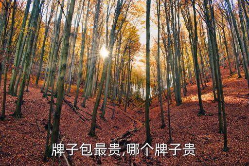 哪种牌子包最贵,哪个牌子贵?