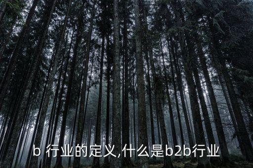 b2b 行业的定义,什么是b2b行业?