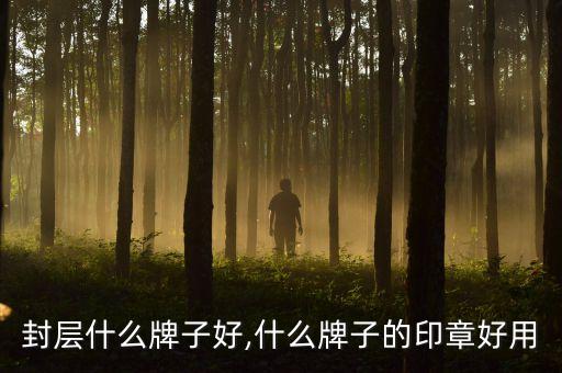 封层什么牌子好,什么牌子的印章好用