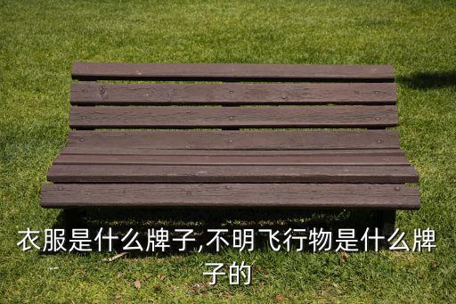 飞碟衣服是什么牌子,不明飞行物是什么牌子的?