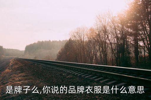 是牌子么,你说的品牌衣服是什么意思