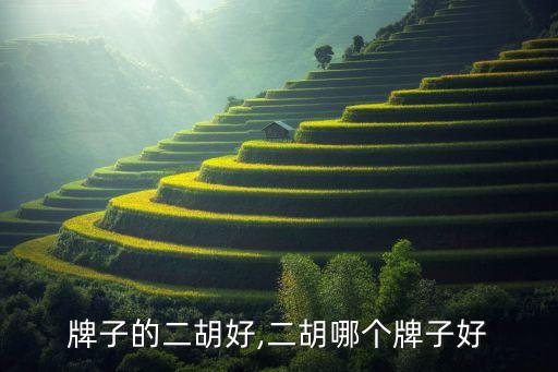 牌子的二胡好,二胡哪个牌子好