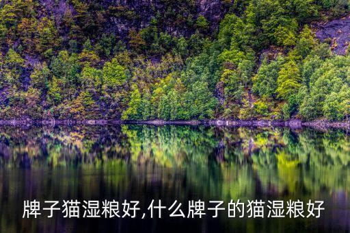 牌子猫湿粮好,什么牌子的猫湿粮好