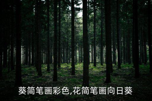 葵简笔画彩色,花简笔画向日葵