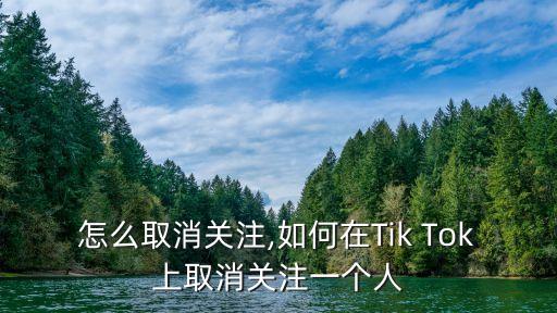 抖音怎么取消关注,如何在Tik Tok上取消关注一个人?