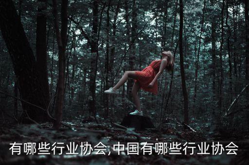 有哪些行业协会,中国有哪些行业协会