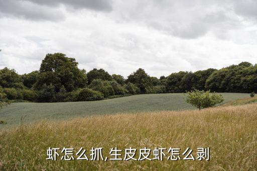 虾怎么抓,生皮皮虾怎么剥
