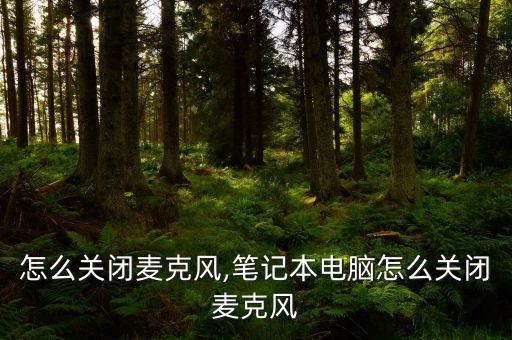 电脑怎么关闭麦克风,笔记本电脑怎么关闭麦克风