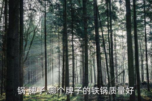 锅 牌子,哪个牌子的铁锅质量好