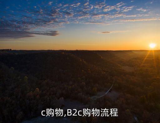 b2c购物,B2c购物流程