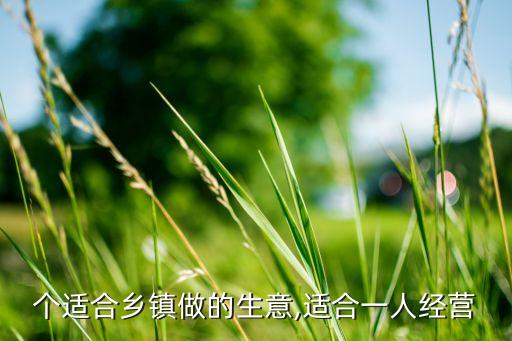个适合乡镇做的生意,适合一人经营