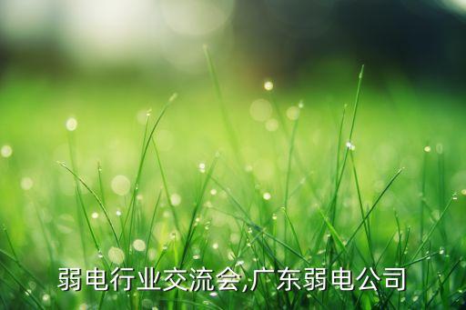 弱电行业交流会,广东弱电公司