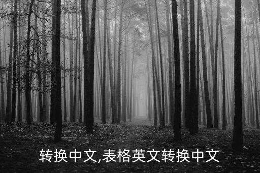 英文转换中文,表格英文转换中文
