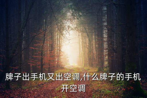 哪个牌子出手机又出空调,什么牌子的手机开空调?