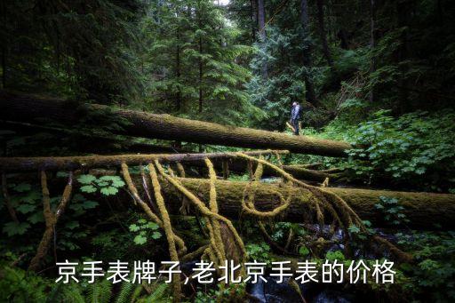 京手表牌子,老北京手表的价格