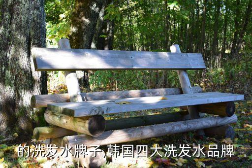 韩国的洗发水牌子,韩国四大洗发水品牌