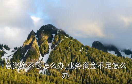 意资金不够怎么办,业务资金不足怎么办
