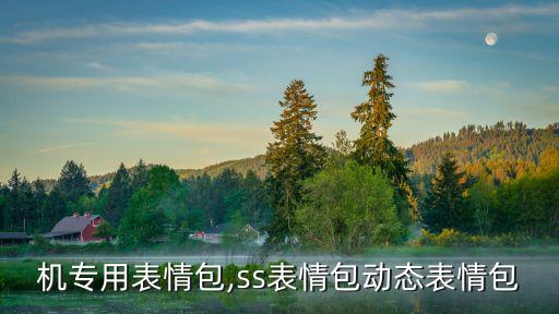 老司机专用表情包,ss表情包动态表情包