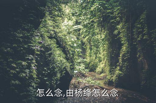 杨绛怎么念,由杨绛怎么念