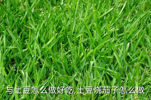 与土豆怎么做好吃,土豆烧茄子怎么做
