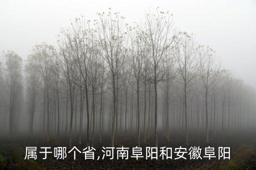 阜阳属于哪个省,河南阜阳和安徽阜阳