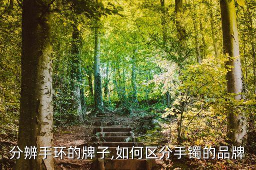 怎么分辨手环的牌子,如何区分手镯的品牌?