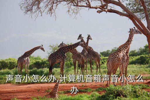 音箱声音小怎么办,计算机音箱声音小怎么办