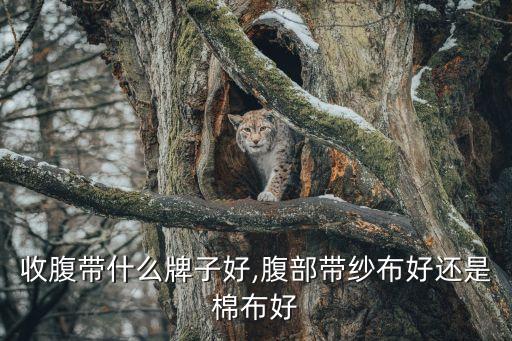 收腹带什么牌子好,腹部带纱布好还是棉布好