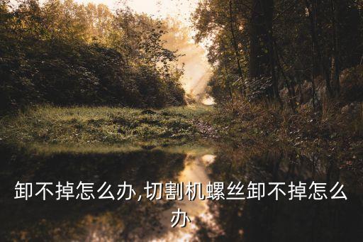 卸不掉怎么办,切割机螺丝卸不掉怎么办